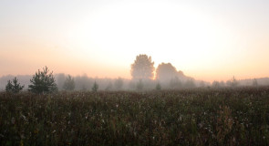 15 августа Степан (Стефан) — сеновал