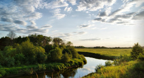 Вдоль Клязьмы