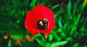 Весна в городе-на-Оке