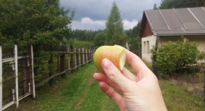 Время огородов!