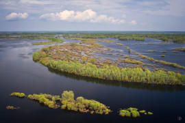 Вязниковский венец в разные года