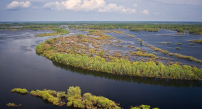 Вязниковский венец в разные года
