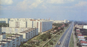 История Доброго, Владимир