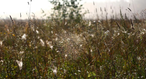 23 августа: предполагали,что погода этого дня устанавливается на всю осень