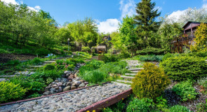 Май в патриарших садах (2015 г.)