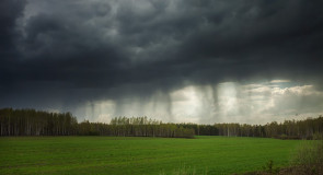 Меленковские поля от Дмитрия Сдобина