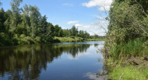 Речка Поль в Гусь-Хрустальном районе