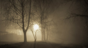 Туманный Джедай в Муроме (весна 2015)