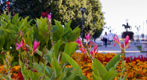 Вечерняя прогулка по смотровой во Владимире