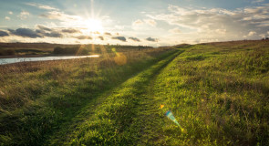 Дорога в облака
