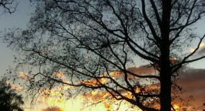 Ковровский район: кадры закатов