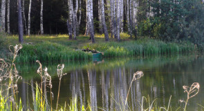 Озеро Вышманово, Собинский район