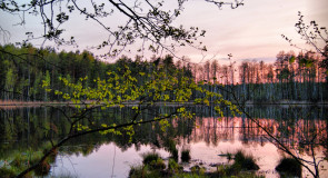 Озеро Поганое, г. Владимир