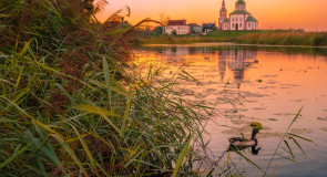 Утки на Каменке, Суздаль