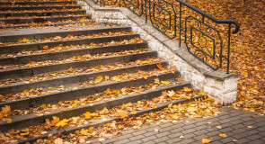 Буйство осенних красок во Владимире