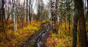 Велопоход в Покровские леса