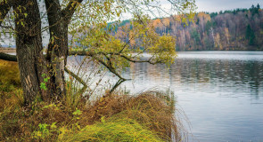 Вечер на берегу Содышки