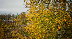 Владимир в золоте!