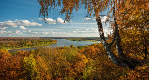 Владимирская область, Меленковский район, с. Окшово