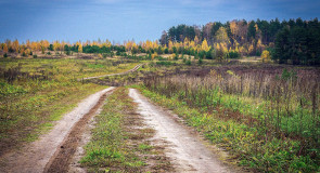 Владимирские проселки
