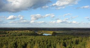 Вязники. Венец. Деревня Быковка