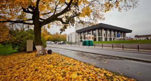 Драматический театр Владимира изнутри