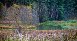 Живописные окрестности Владимира. Содышка