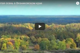 Золотая осень в Вязниковском крае