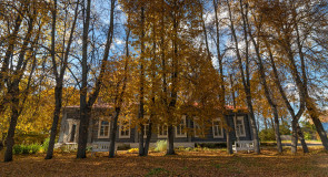 Золотая осень в усадьбе Танеевых
