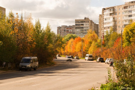 Краски осени на ул. Нижняя Дуброва. г. Владимир