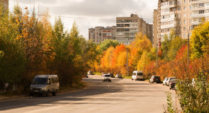 Краски осени на ул. Нижняя Дуброва. г. Владимир