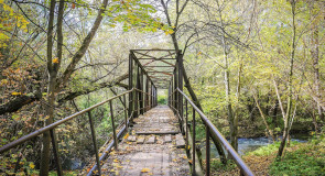 Мост 1964 года, г. Владимир