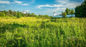 На лугу .Под стенами Покровского монастыря. Суздаль