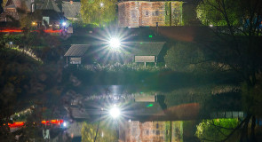 Ночь тиха… Едва колышет ветер темные листы