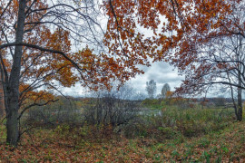 Осеннее утро на Серой реке