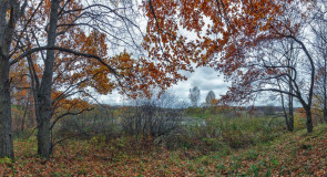 Осеннее утро на Серой реке