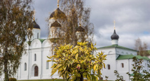 Осенние красоты Мурома Александра Каменского