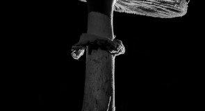 Гигантские осенние мухоморы