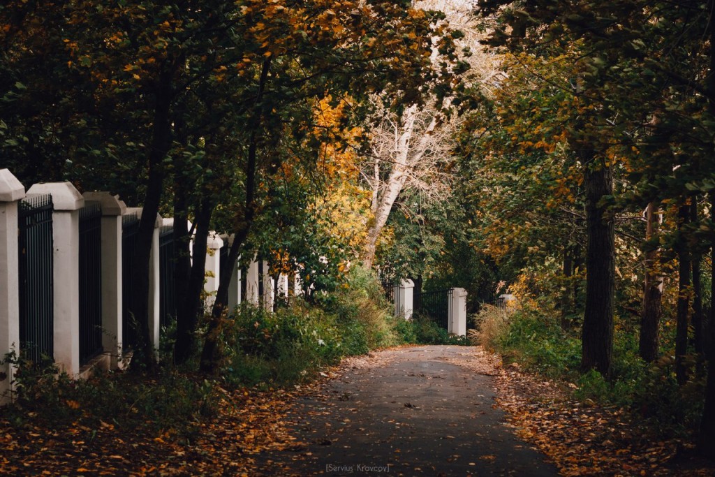 Осенние пейзажи Владимира от Сергея Кравцова 10