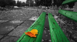 Осень 2016 в городе Вязники