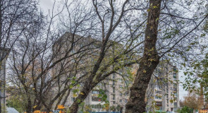 Осень в Александрове