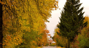 Осень в Гороховце