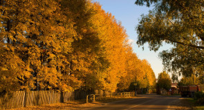 Осень в Меленках