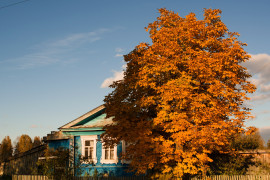 Осень в селе Архангел. Меленковский р-н