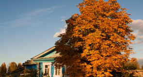 Осень в селе Архангел. Меленковский р-н