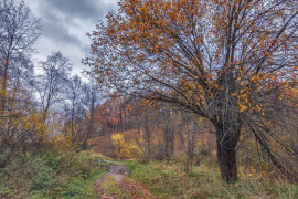 Прогулка вдоль реки Серой в Александрове