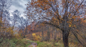 Прогулка вдоль реки Серой в Александрове