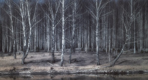 Пруд близ д. Черепово Судогодского р-на, весна