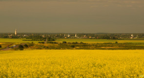 Суздаль на ладони