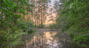 Озеро Саврасово, Вязниковский р-он